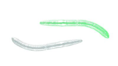 LIBRA LURES Fatty D\'Worm 65 mm